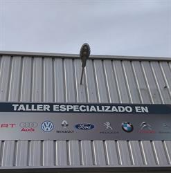 Horario de apertura José Rodríguez Medina e Hijos S.L, Níjar