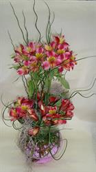 Horario de apertura Floristería Mariola Campos, Málaga
