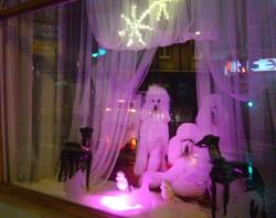 Horario de apertura Bitxos estética canina, Barakaldo