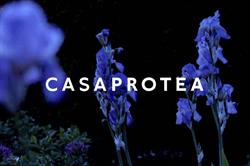 Casa Protea Plant Collectors Studio en Barcelona (Gràcia) - Horario de apertura