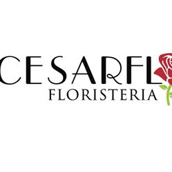 Horario de apertura Cesarflor,S.L., Almería
