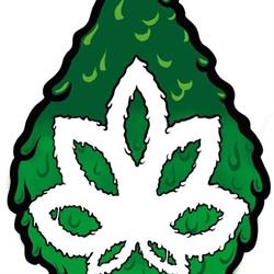 Horario de apertura Lisergia, The Amazing Grow Shop, Sanlúcar de Barrameda