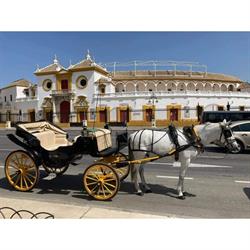 Horario de apertura Coches de Caballos Sevilla Ivan, 