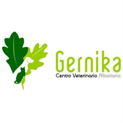Horario de apertura Centro Clínico Veterinario Gernika, Gernika-Lumo
