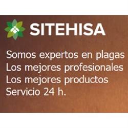 Control de Plagas de Termitas y Carcoma Sitehisa en Bilbao (Deusto) - Horario de apertura