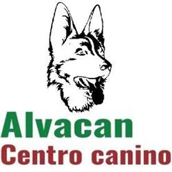Horario de apertura Centro canino New Alvacan, Miguelturra
