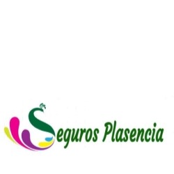 Horario de apertura Seguros Plasencia, 