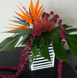 Horario de apertura Floristería Tágara, Armeñime
