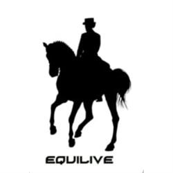 Horario de apertura Centro Hipico Equilive, Náquera