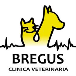 Horario de apertura Bregus Clínica Veterinaria, Villanueva de la Serena