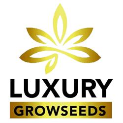 Horario de apertura Luxury Growseeds, Alzira