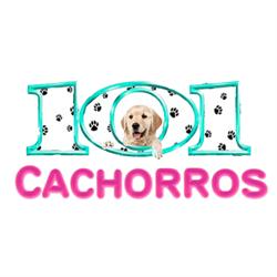 Horario de apertura 101 Cachorros, Illescas