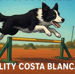 Horario de apertura Club de Agility Costa Blanca, Elche