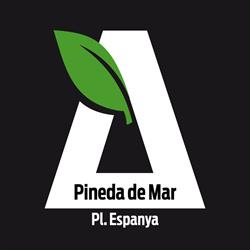 Horario de apertura bonÀrea, Pineda de Mar