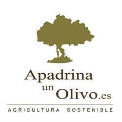 Horario de apertura Apadrinaunolivo.es apadrinar un olivo aceite milenario AOVE cordoba, Rute