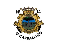 Horario de apertura Taxi carballiño n°14, Carballiño