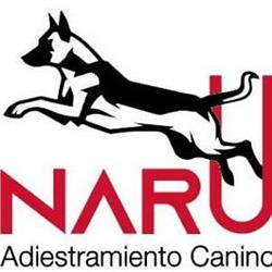 Horario de apertura Adiestramiento Canino Narú, Morgade