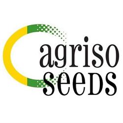 Horario de apertura Agriso Seeds, Torre-Pacheco
