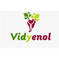 Horario de apertura Vidyenol S.l., Peñafiel