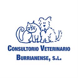 Horario de apertura Clínica del Puerto, Burriana