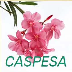 Horario de apertura Caspesa, Talavera de la Reina