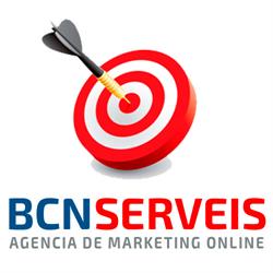 Horario de apertura Bcnserveis Diseño Web Barcelona, 