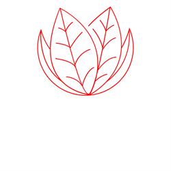 AURA Kaffeina Brunch & Specialty Coffee - Ruzafa en Valencia (Eixample) - Horario de apertura