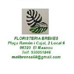Horario de apertura Floristeria Brenes, El Masnou
