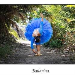 Horario de apertura Estudio de Danza Profesional María Lucas, Cieza