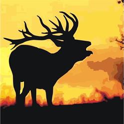 Horario de apertura Cañones Wildlife Services, Las Rozas de Madrid