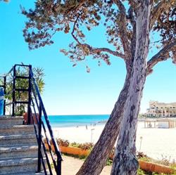 Horario de apertura La Zenia Beach Resort, Orihuela-Costa