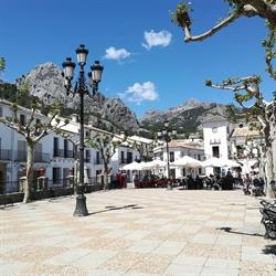 Horario de apertura Inmobiliaria Grazalema, 