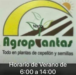 Horario de apertura Agroplantas, Cordobilla