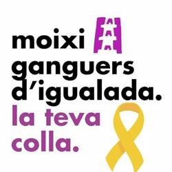 Horario de apertura Moixiganguers d'Igualada,