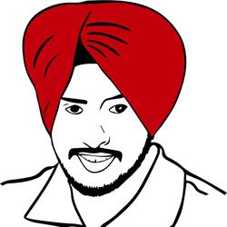 Horario de apertura Mr Singh’s, L'Alfàs del Pi