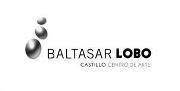 Horario de apertura Museo Baltasar Lobo, Zamora