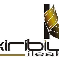Horario de apertura Kiribil ileak, Amorebieta-Etxano