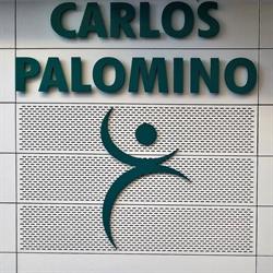 Horario de apertura Carlos Palomino Fisioterapia y Osteopatía, Villarrubia de los Ojos
