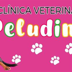 Horario de apertura Clínica veterinaria Peludines, Fuente El Saz de Jarama