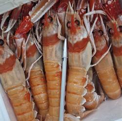 Horario de apertura Pescaderia Mar de Sada, 