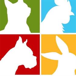 Horario de apertura Mascotas Guadarrama,