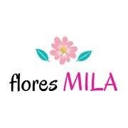 Horario de apertura Flores y más Mila, Cintruénigo
