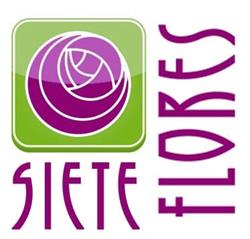 Siete Flores en Zaragoza (Casco Antiguo) - Horario de apertura