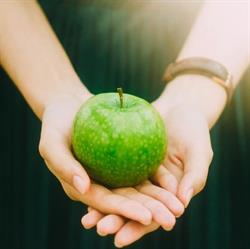 Horario de apertura Nova Dietètica, Sabadell
