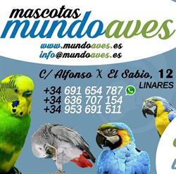 Horario de apertura mundoaves.es, Linares