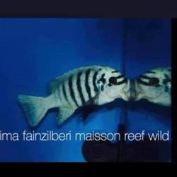 Horario de apertura wildfish_bcn, Caldes de Montbui