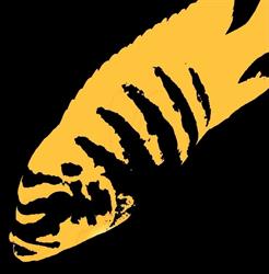 Horario de apertura wildfish_bcn, Caldes de Montbui