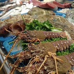 Horario de apertura Pescadería Vida del Mar, Les Coves de Vinromà