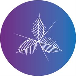 Horario de apertura Pinergia SCCL, Senillers