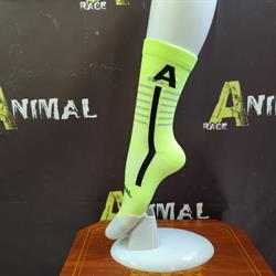 Horario de apertura Animal race. Ciclismo personalizado, Los Palacios y Villafranca